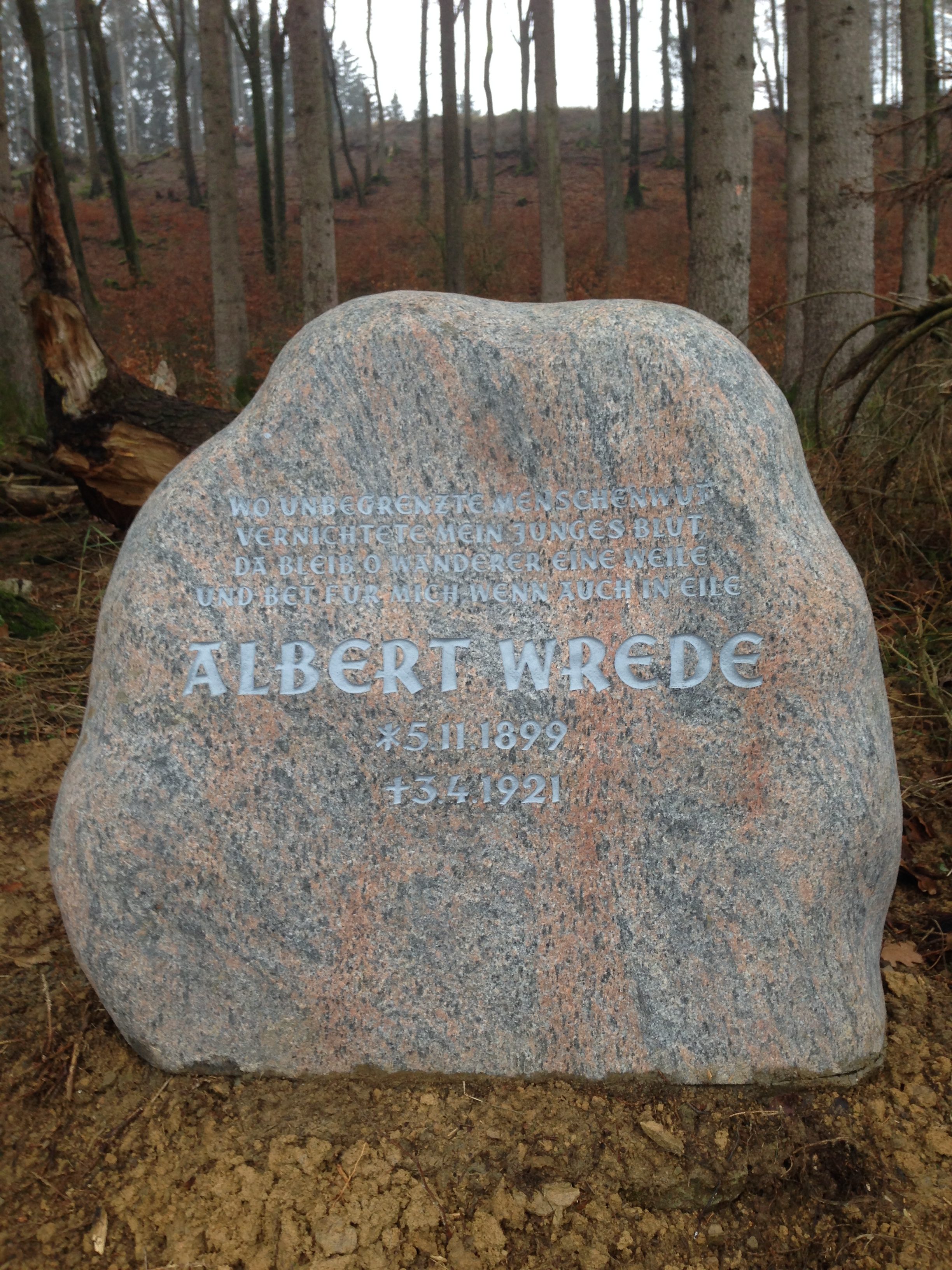 Gedenkstein für Albert Wrede am Waldrand des Erlenbruch